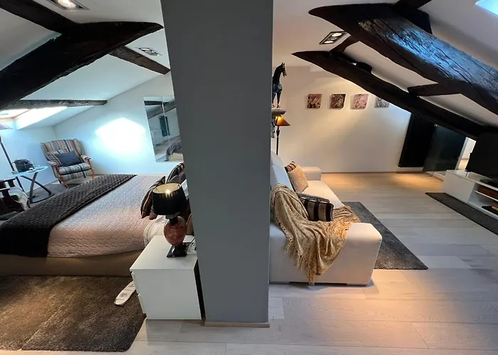 Apartament Charles *